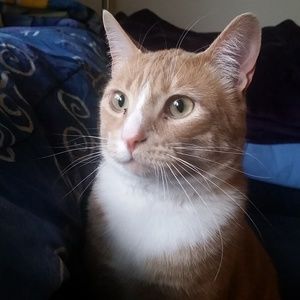 Meet your Poshers, William & Amy